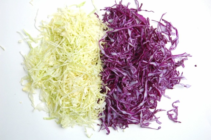 Byliny v záhrade výsadba strúhaný šalát z červenej kapusty