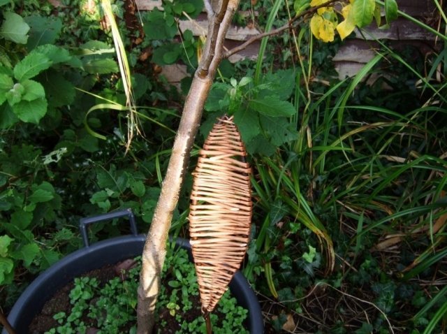 Záhradné dekorácie z vŕbových konárov, udržateľné a pekné