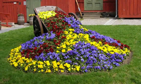 nápad na záhradu kvety atraktívne rastliny starý fúrik rozkvitnutý kopec