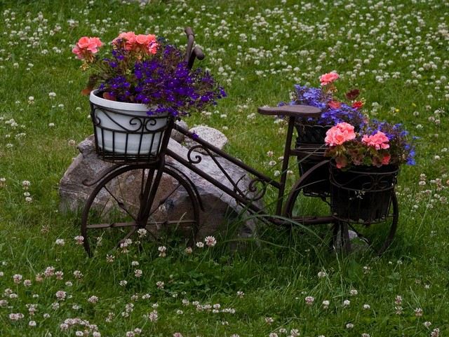 Krásne aranžmán nápady na dekoráciu záhradného bicykla Nápady pekné usporiadanie trend upcyklácie