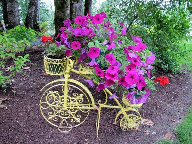 Kvetináč na bicykel svieže žlté kvety Kvetináč čerstvé kvety žltej farby