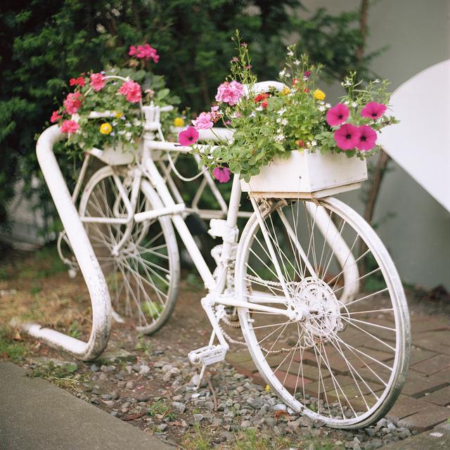 Nápady na dekoráciu záhradného bicykla, biele vintage kvetináče Nápady biele vintage kvetináče kreatívne nápady záhrady