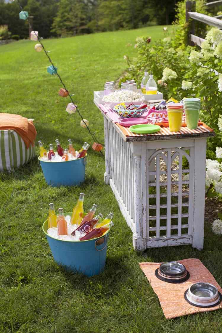 Garden party - trávnik, chladené nápoje, občerstvenie a niečo pre domácich miláčikov party dekorácia-jar-záhrada-exteriér-trávnik-limonáda-pult