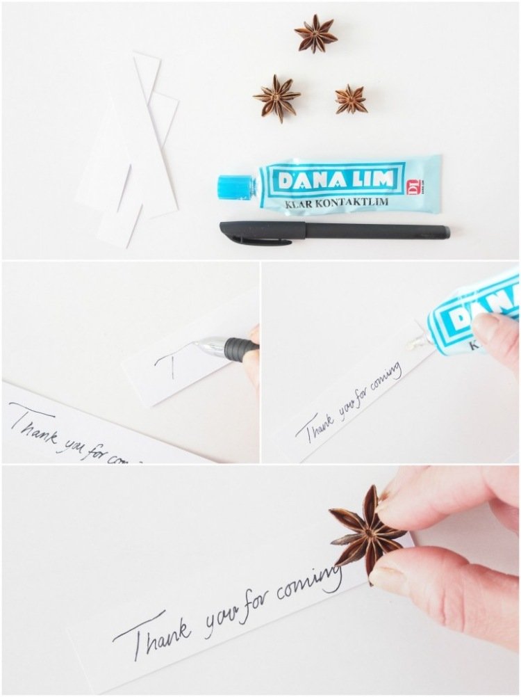 urobte si sami krásnu a jednoduchú dekoráciu z badiánu dekorácia stolu-vianočné-urob-si-svoj-večierok-dekorácia-badyán-drotár-stick-on-sign