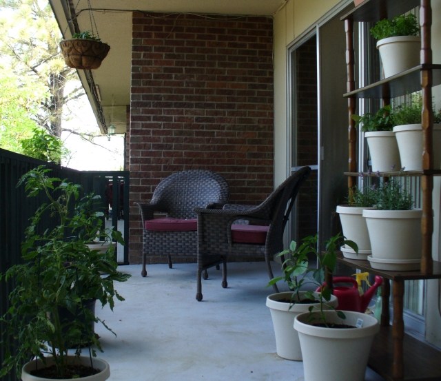 Vytvorte bylinkovú záhradu balkónové rastliny kvetináče police vysoko Byliny na balkónových kvetináčoch majú vysokú policu