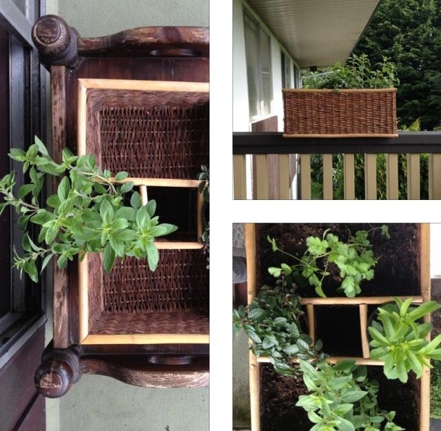 bylinky balkónové rastliny kôš drevo niekoľko druhov