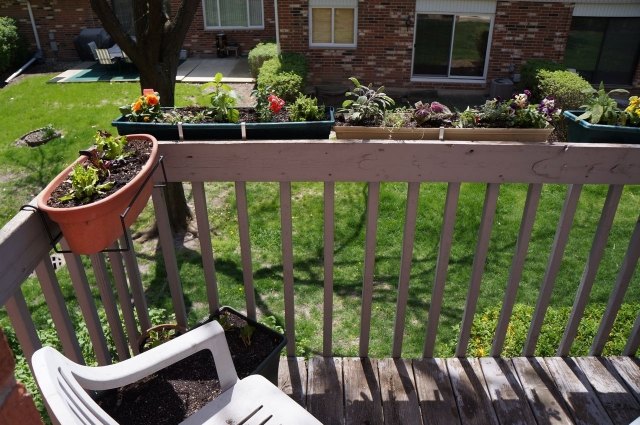 bylinky balkón záhradná výsadba sadzač zábradlie bylinky balkónové rastliny kvetinový box pripevniť zábradlie