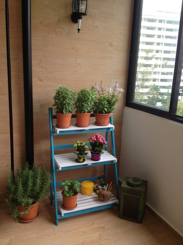 Bylinková záhrada Myšlienka balkónových rastlín kvetináče stoja schody Byliny na balkónových kvetináčoch stoja po schodoch