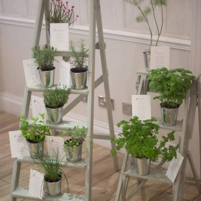 Svadobní hostia šetrní k životnému prostrediu môžu zariadiť darčekový rebrík