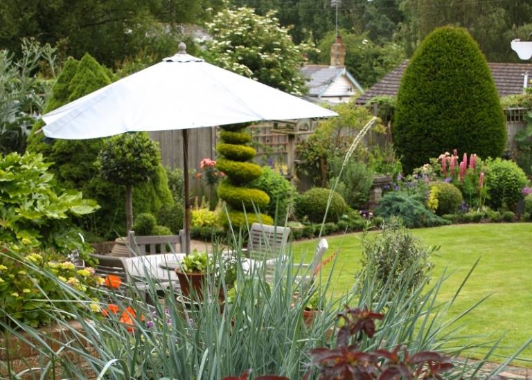 Orgován má silnú vôňu a je vhodný do väčších záhrad Bylinné voňavé rastliny-levanduľa-tymian-živé ploty