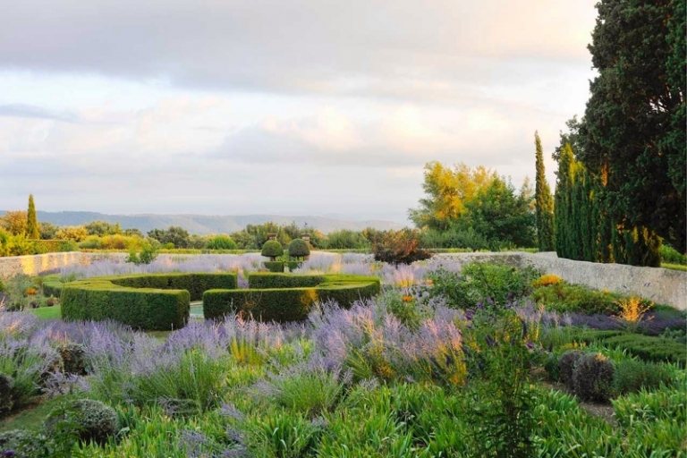 Levanduľa vo veľkej stredomorskej záhrade Bylinné-Voňavé-Rastliny-Angličtina-Záhrada-Levanduľa-Živý plot