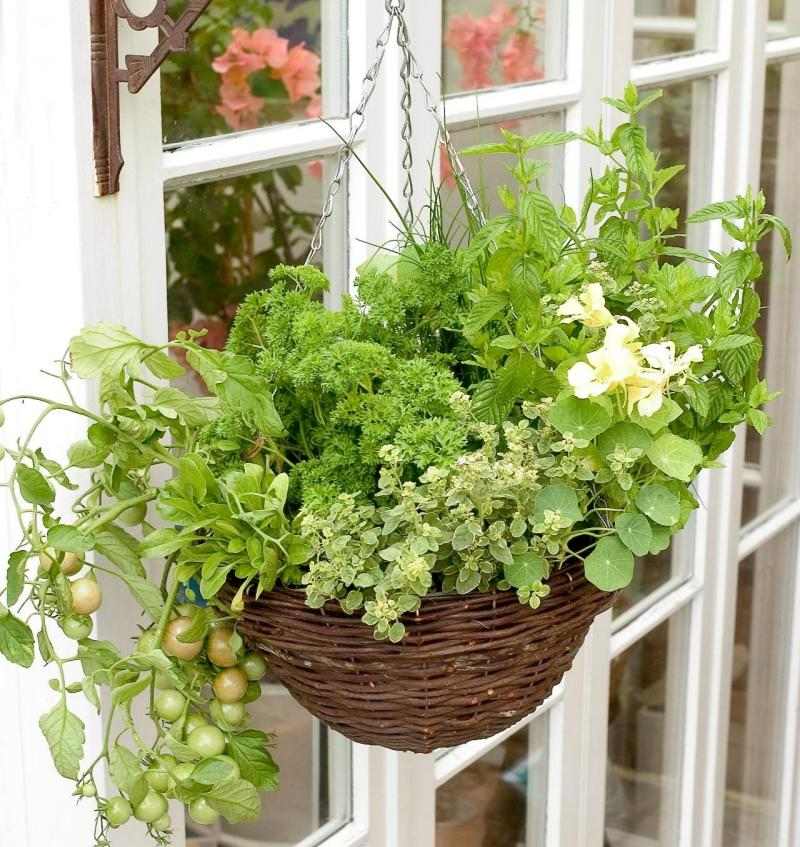 Byliny v malom kvetináči pri okne Bylinné voňavé rastliny-plameniak-kvetináč-závesné okno