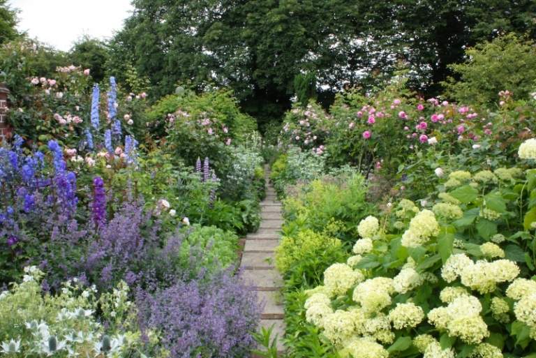 Voňavé rastliny v stredomorskej záhrade - levanduľa, ruže, pivonky, hyacinty Bylinné voňavé rastliny-biely-hyacint-levanduľa-ruže