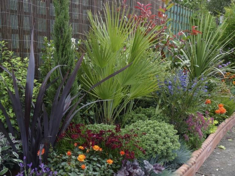 Vytvorte si záhon s bylinkami a voňavými rastlinami Bylinné voňavé rastliny-levanduľa-ruža-rozmarín