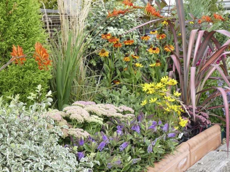 Vytvorte voňavé kvety a rastliny v záhrade Bylinné voňavé rastliny-levanduľa-rozmarín-harmanček-orgován