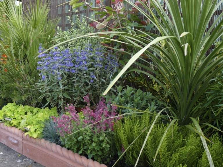 Voňavé rastliny a bylinky ako tymian v záhrade Bylinno-voňavé rastliny-levanduľa-rozmarín-tymian-záhon