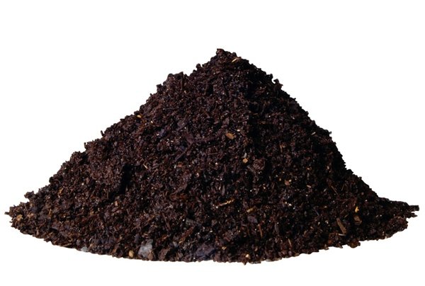 Zmes koreninových byliniek a kvetináča Vytvorenie balkónovej záhrady Tipy na nápady