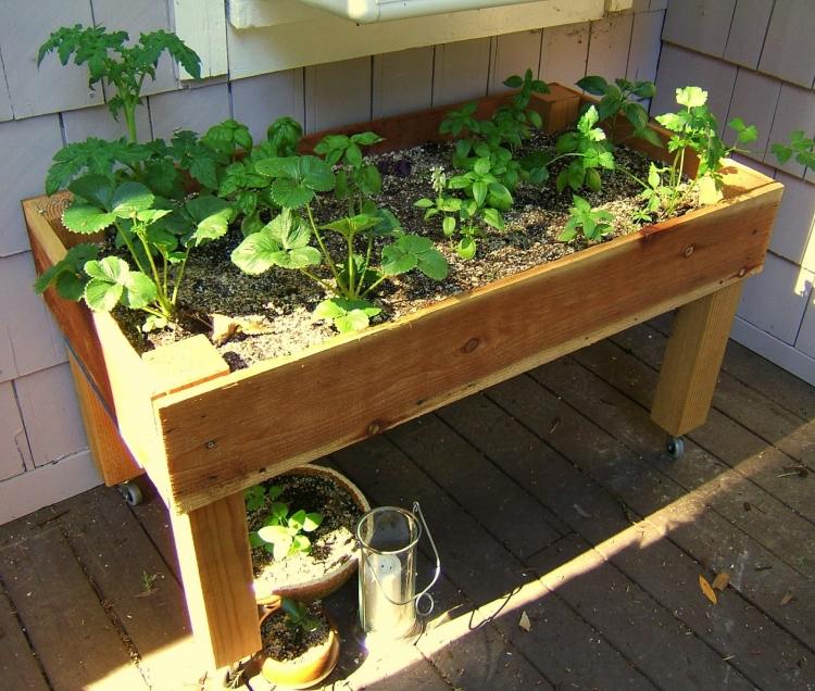 Vyvýšené bylinkové záhony-vytvorte-si-staviate-pokyny-rastliny-záhrada-drevená podlaha