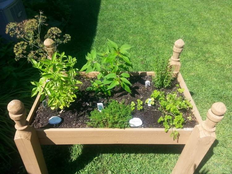 Postavte si vlastnú vyvýšenú posteľ-malé drevo-korenie-záhradná rastlina