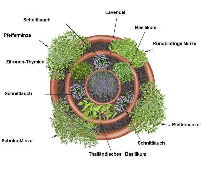 Vytvorte špirálu bylín Budovanie skica-záhradný plán-korenie-slnko-tieň