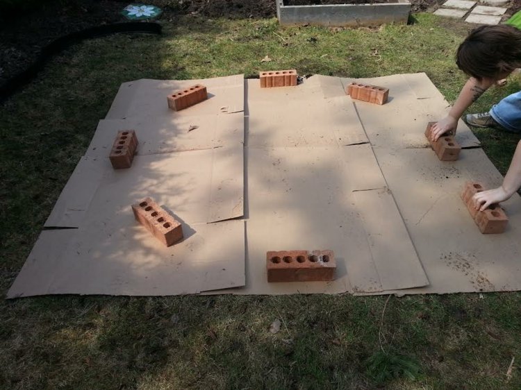 Bylina-špirála-rozloženie-dlaždice-usporiadať-rozstup-kartón