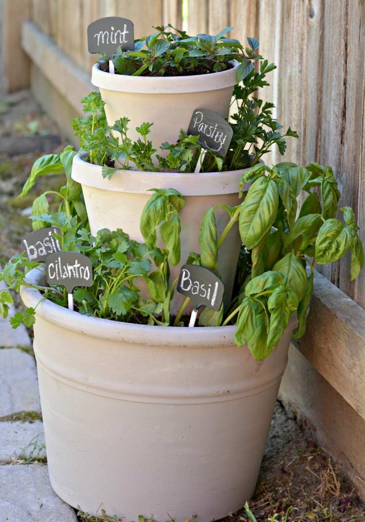 bylina-špirála-budova-kvetináč-balkón-vertikálna-záhrada-bazalka