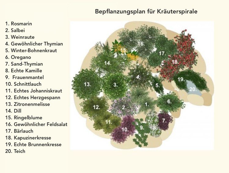 Bylinná špirála s plánom výsadby rybníka so zoznamom byliniek a kvetov