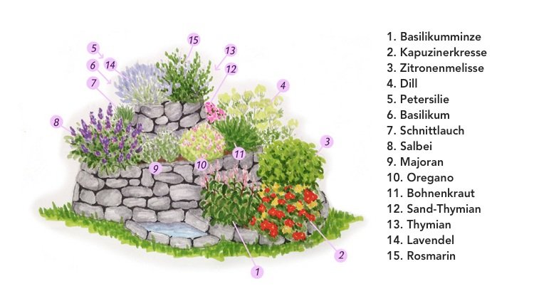 bylinkový slimák výsadba aranžmán rastlín rybník