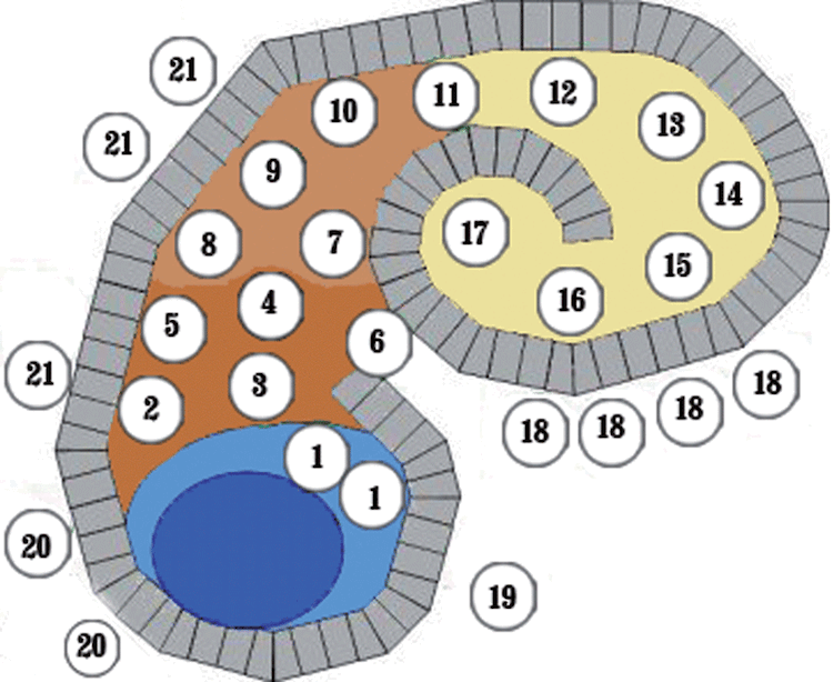 Správny spôsob, ako vysadiť jazierko bylinkovou špirálou Zoznam byliniek