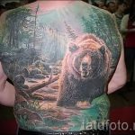 صور - وشم دب بارد - مثال 6222 tatufoto.ru