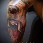 صور - Cool Tattoo auf seinem Ellenbogen - ein Beispiel 1024 tatufoto.ru