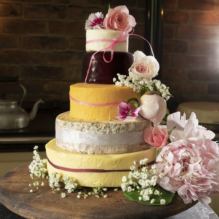 Pekný dizajn so žltým syrom a Bordeaux