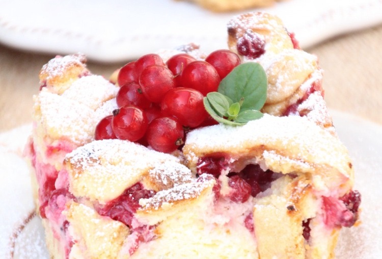 Jogurtový cheesecake s ríbezľami a práškovým cukrom