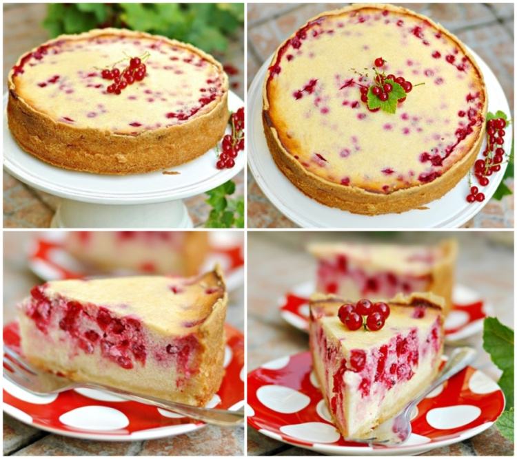 jednoduchý zapečený tvarohový koláč s ríbezľami a sušienkovou kôrkou