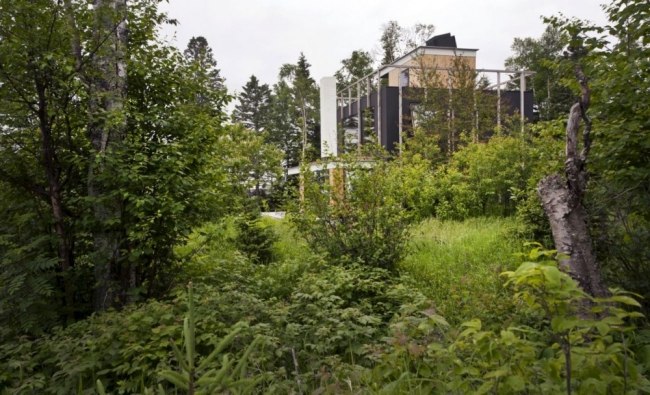 Lesný dom postavený na strmom útese, skalnaté pobrežie Ameriky, vynikajúce