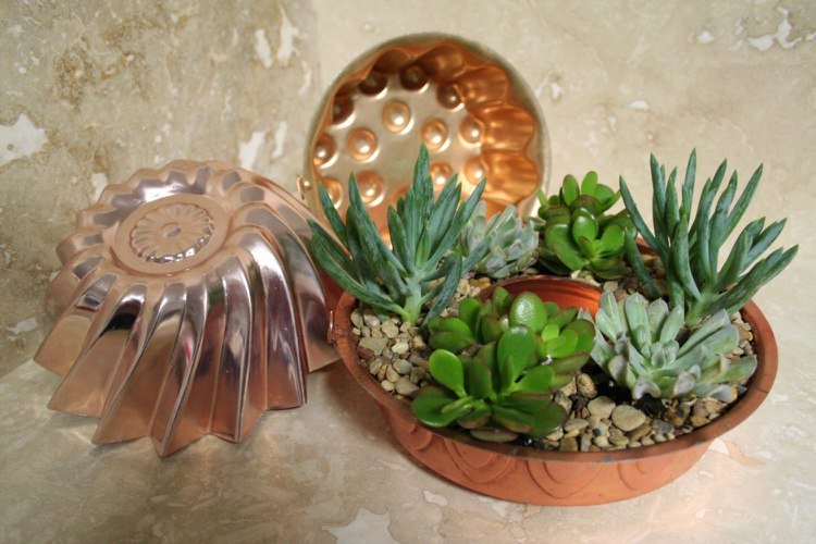 Obzvlášť dekoratívne pôsobia tortové formy z medi Forma na pečenie-forma-výsadba-formy-na tortu-záhradná dekorácia-medené-sukulenty