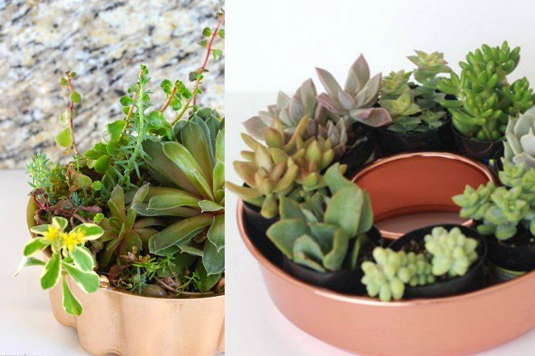 Zasuňte okrúhlu medenú tortovú formu s otvorom Forma na pečenie-forma-výsadba-formy-na tortu-záhradná dekorácia-medené-okrúhle sukulenty