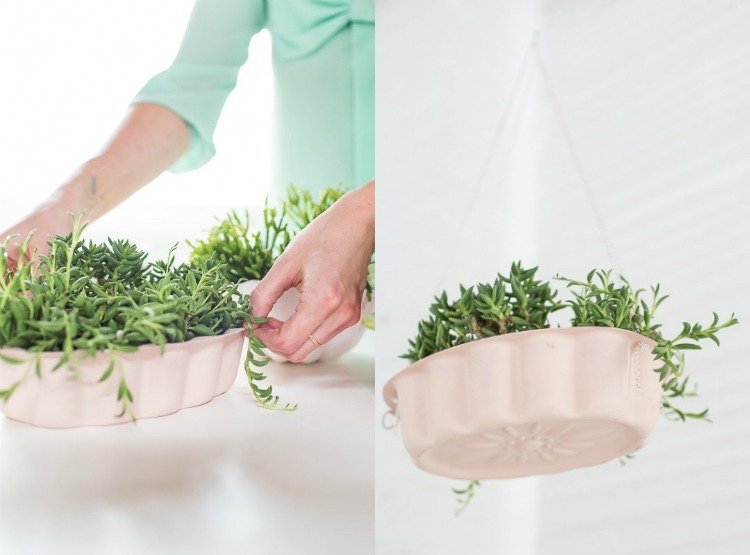 Pekáč použite ako kvetináč a nechajte ho visieť Forma na pečenie-forma-výsadba-formy-na tortu-záhradná dekorácia-závesné koše-sukulenty