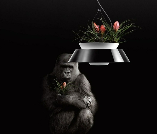 Kvetináč plast kov čierno biela divoká kráska