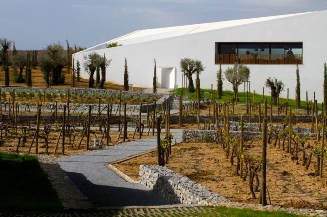 Moderný dizajn hotelových viníc portugalské štúdio mk27 promontorio