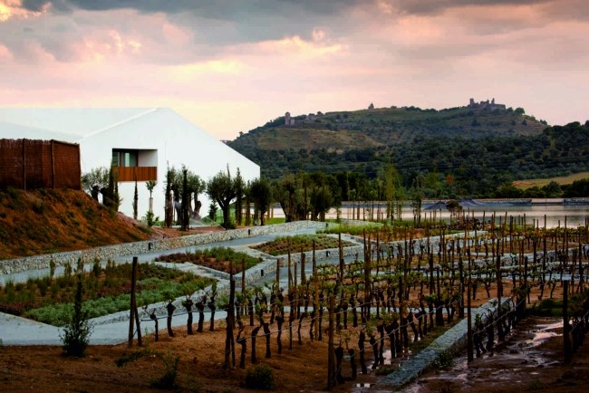 Moderné hotelové vinice obklopujú štúdio Promontorio Studio Mk27