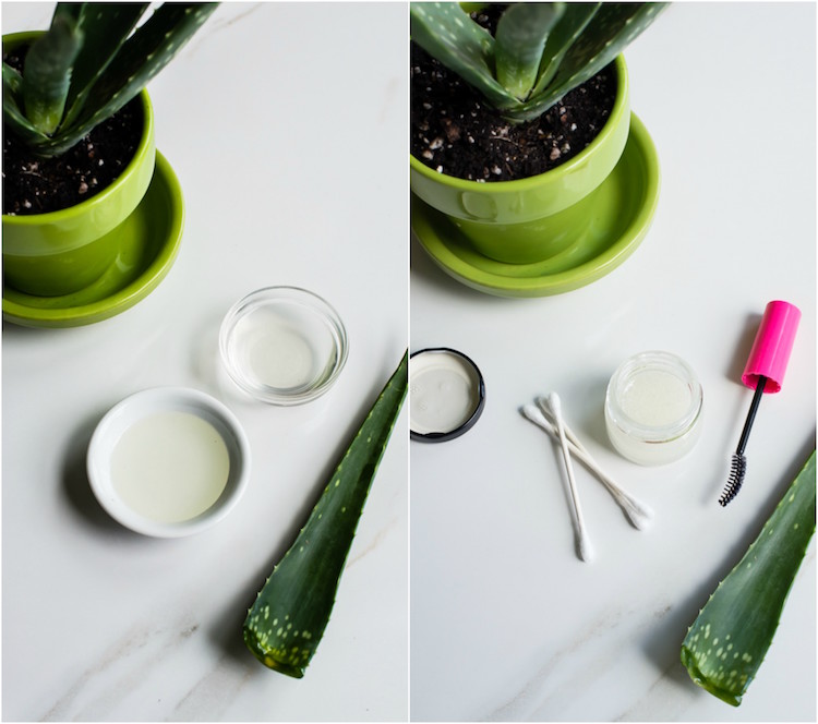 dlhé riasy trend krása prírodné domáce opravné prostriedky aloe vera