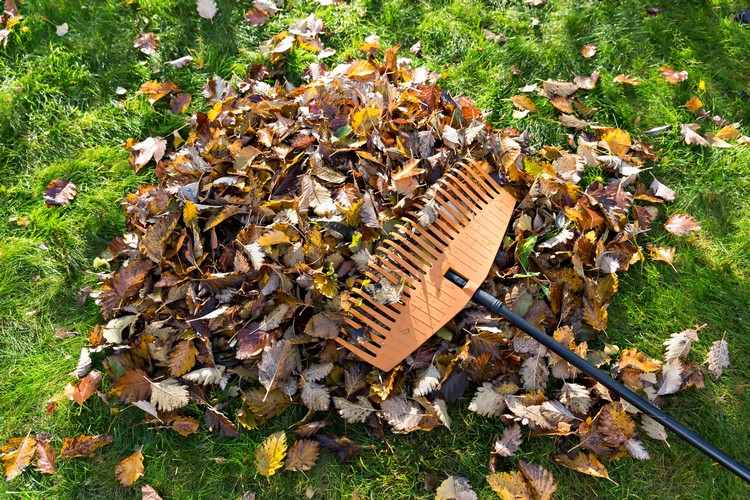 Na výber máte z tipov na nástroje na hrabanie lístia