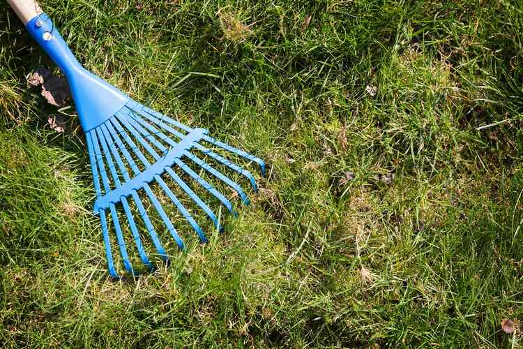 Vyberte hroty hrable listová hrable modrá