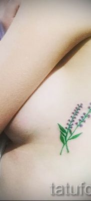 fényképes példa levendula tetoválásra a tetoválás jelentéséről szóló cikkhez 56