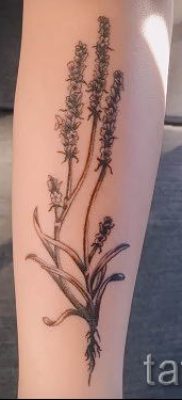 fényképes példa levendula tetoválásra a tetoválás jelentéséről szóló cikkhez 48