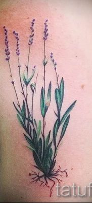 fényképes példa levendula tetoválásra a tetoválás jelentéséről szóló cikkhez 25