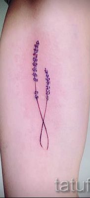 fényképes példa levendula tetoválásra a tetoválás jelentéséről szóló cikkhez 15