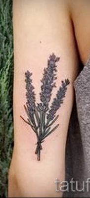 fényképes példa levendula tetoválásra a tetoválás jelentéséről szóló cikkhez 2