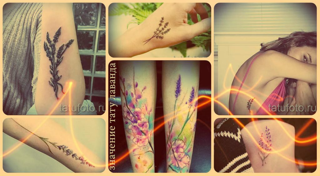 A levendula tetoválás jelentése - érdekes információk a képről és a kész tetoválások példái a fotón